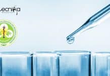 Senior Research Fellow Job