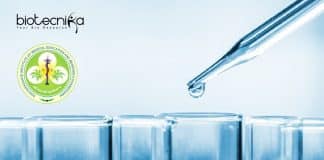 Senior Research Fellow Job