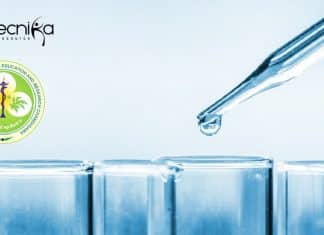 Senior Research Fellow Job For Life Sciences at PGIMER Senior Research Fellow Job