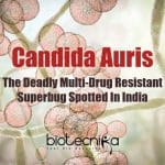 Superbug From Andaman Islands, Next Pandemic, Multi-drug resistant superbug, C. auris