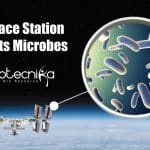 Unknown Space Microbes
