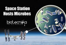 Unknown Microbes Found On The International Space Station Unknown Space Microbes