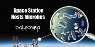 Unknown Space Microbes