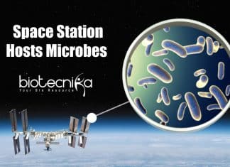 Unknown Space Microbes