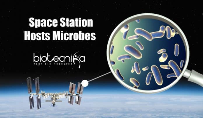 Unknown Space Microbes