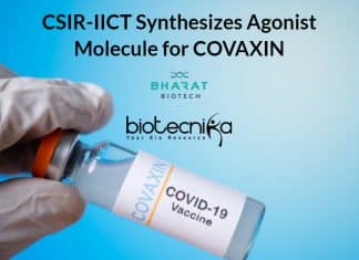 Agonist molecule synthesis for COVAXIN