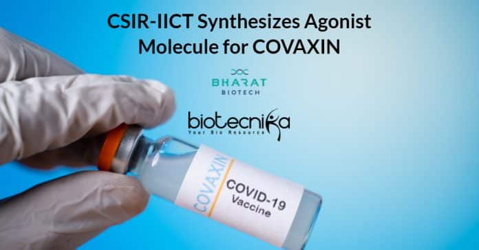 Agonist molecule synthesis for COVAXIN
