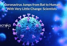 Scientists Say, Coronavirus Undergoes Very Little Change During Transmission from Bat to Human Coronavirus Jumps from Bat to Human With Very Little Change: Scientists
