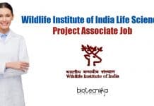 Wildlife Institute of India Life Science Project Associate Job WII Life Science Project