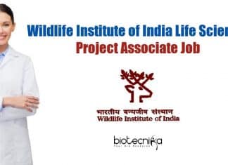 Wildlife Institute of India Life Science Project Associate Job WII Life Science Project