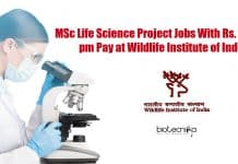 MSc Life Science Project Jobs With Rs. 42,000 pm Pay at Wildlife Institute of India WII Life Science Vacancies