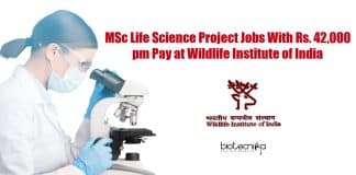 WII Life Science Vacancies