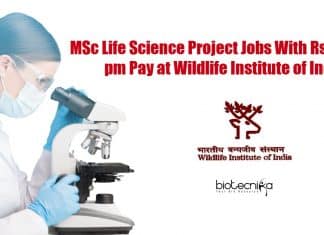 MSc Life Science Project Jobs With Rs. 42,000 pm Pay at Wildlife Institute of India WII Life Science Vacancies