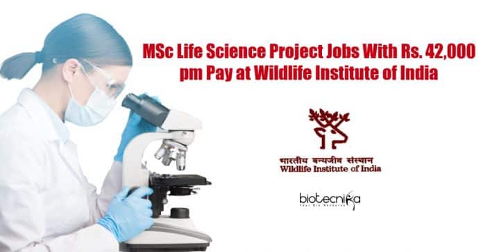 WII Life Science Vacancies