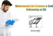 ZSI MP Careers