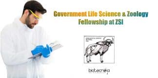ZSI MP Careers