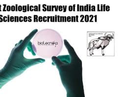 Zoology & Life Science