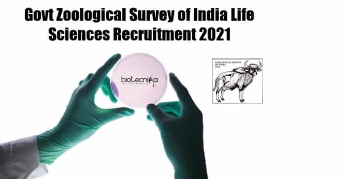Zoology & Life Science