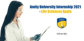 Amity University Internship 2021