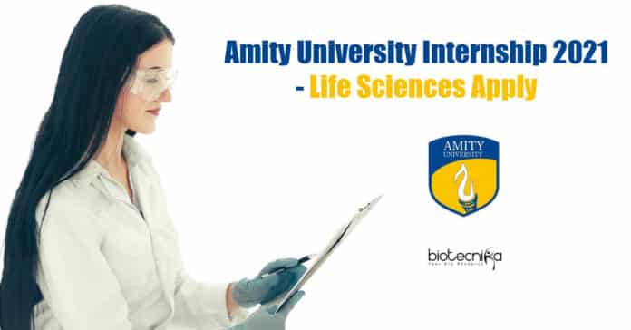 Amity University Internship 2021