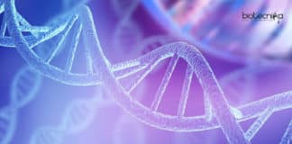 Avantor Life Sciences