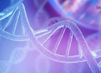 Avantor Life Sciences