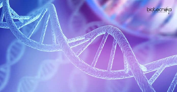 Avantor Life Sciences