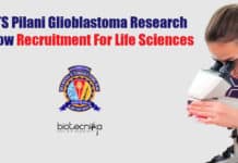 BITS Pilani Glioblastoma Research Fellow Recruitment For Life Sciences BITS Pilani Research Vacancies
