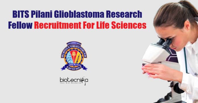 BITS Pilani Research Vacancies