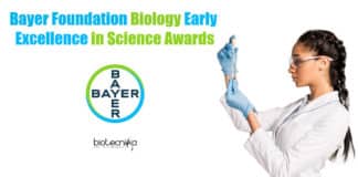 Bayer Foundation