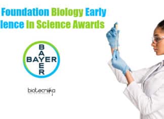 Bayer Foundation