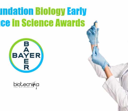 Bayer Foundation