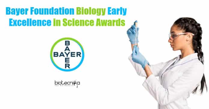 Bayer Foundation
