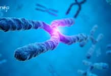 Biological Science SRF Job at SRM Institute of Science and Technology Biological Science SRF Job