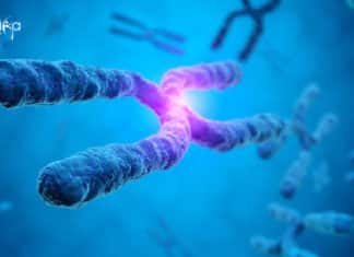 Biological Science SRF Job at SRM Institute of Science and Technology Biological Science SRF Job