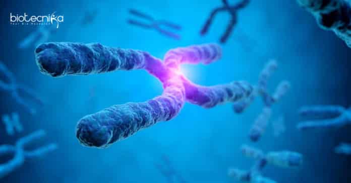 Biological Science SRF Job