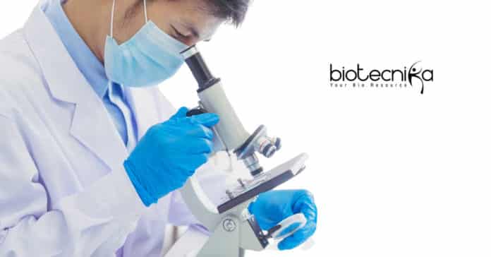 CSIR-CSMCRI Biotech Project Associate