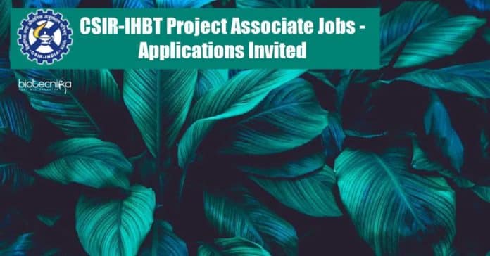 CSIR-IHBT Project Associate Jobs