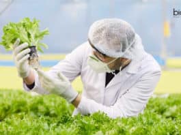 CSIR-CSMCRI Project Assistant & Associate Job Openings CSMCRI Job Opening