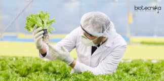 CSMCRI Job Opening