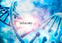 Cepheid Molecular Biology Scientist Job Vacancy Available Cepheid Molecular Biology Scientist