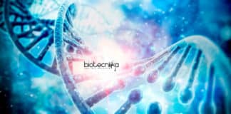 Cepheid Molecular Biology Scientist