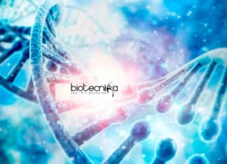 Cepheid Molecular Biology Scientist Job Vacancy Available Cepheid Molecular Biology Scientist