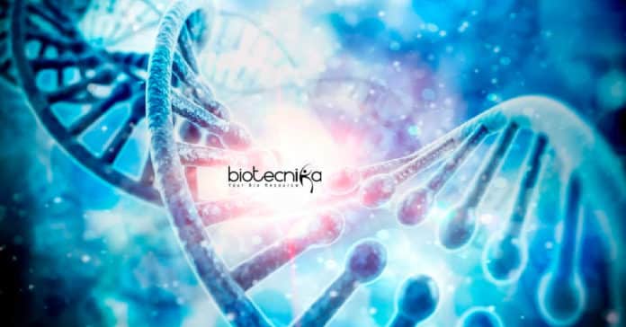 Cepheid Molecular Biology Scientist