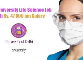 Delhi University Life Science Job With Rs. 47,000 pm Salary Delhi University Vacancy