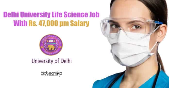 Delhi University Vacancy