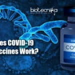 How Does COVID-19 mRNA Vaccines Work? mRNA COVID-19 Vaccines
