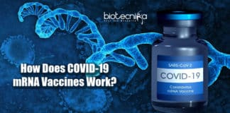 mRNA COVID-19 Vaccines