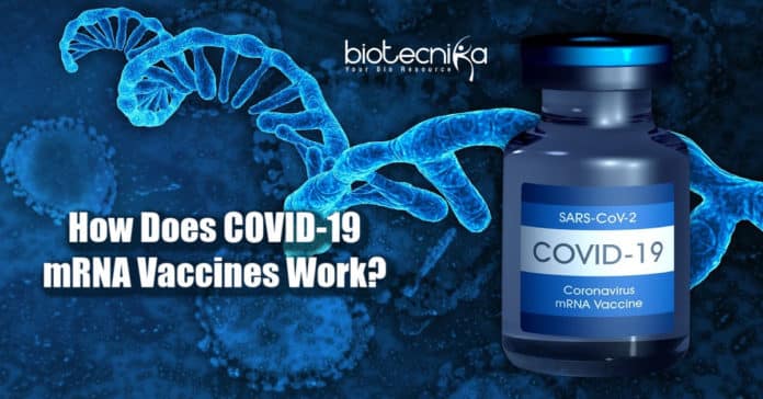 mRNA COVID-19 Vaccines