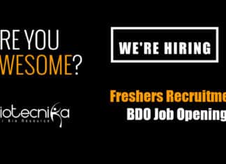 Freshers BDO Job